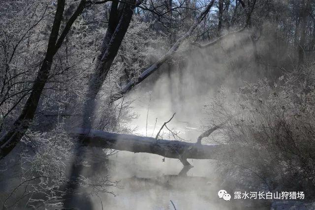 到底要不要发声