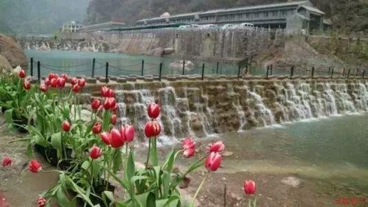 泡弹学院